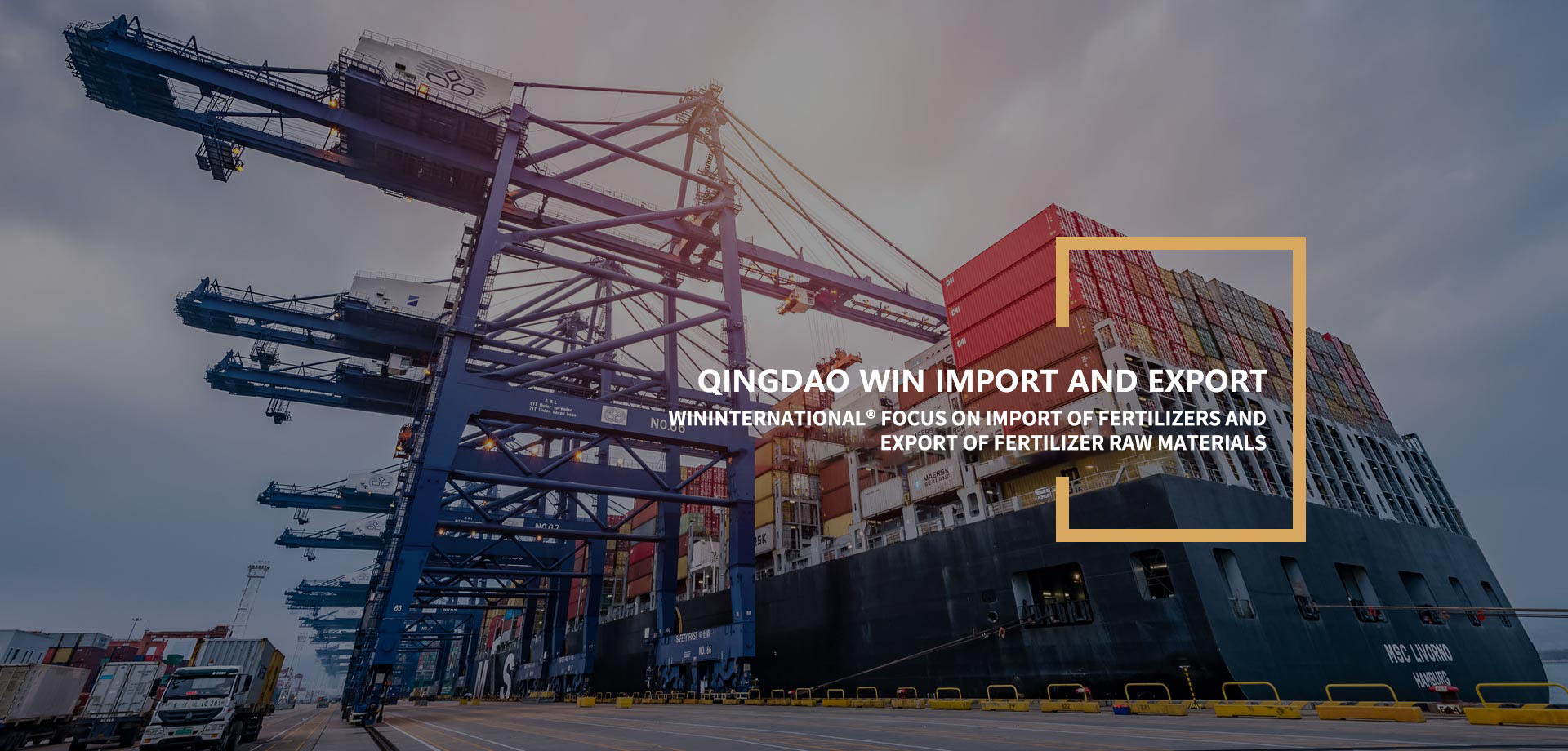 Qingdao Win Import and Export Co., Ltd. Qingdao Win Import and Export Co., Ltd.